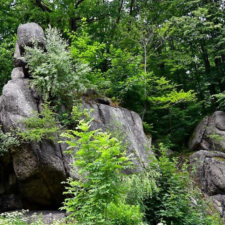 Wilcza Gajowka Villa Sosnówka Exteriör bild