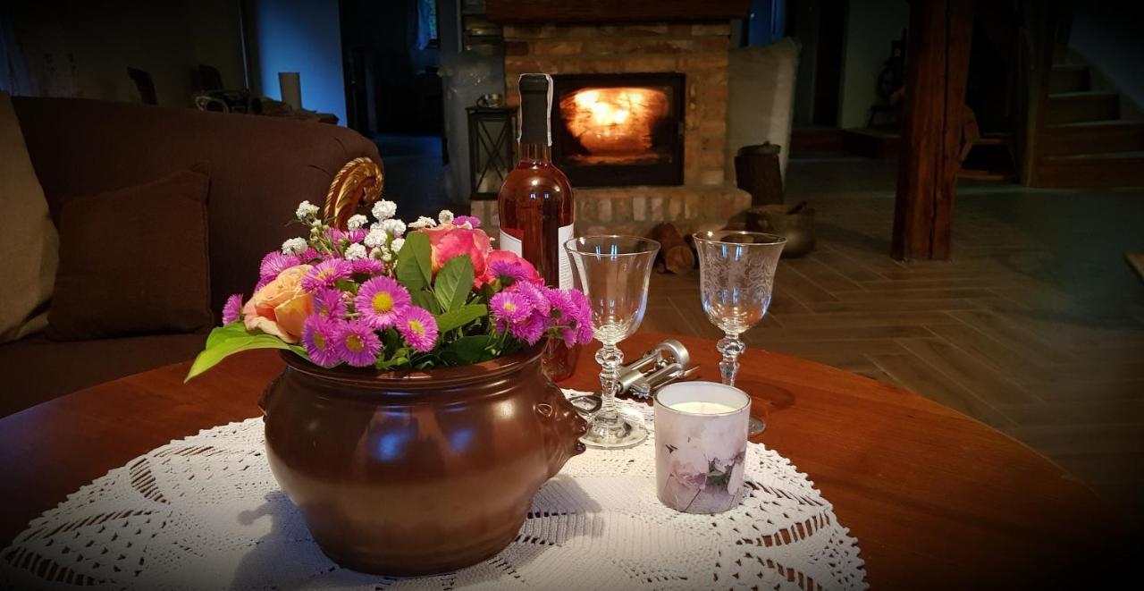 Wilcza Gajowka Villa Sosnówka Exteriör bild